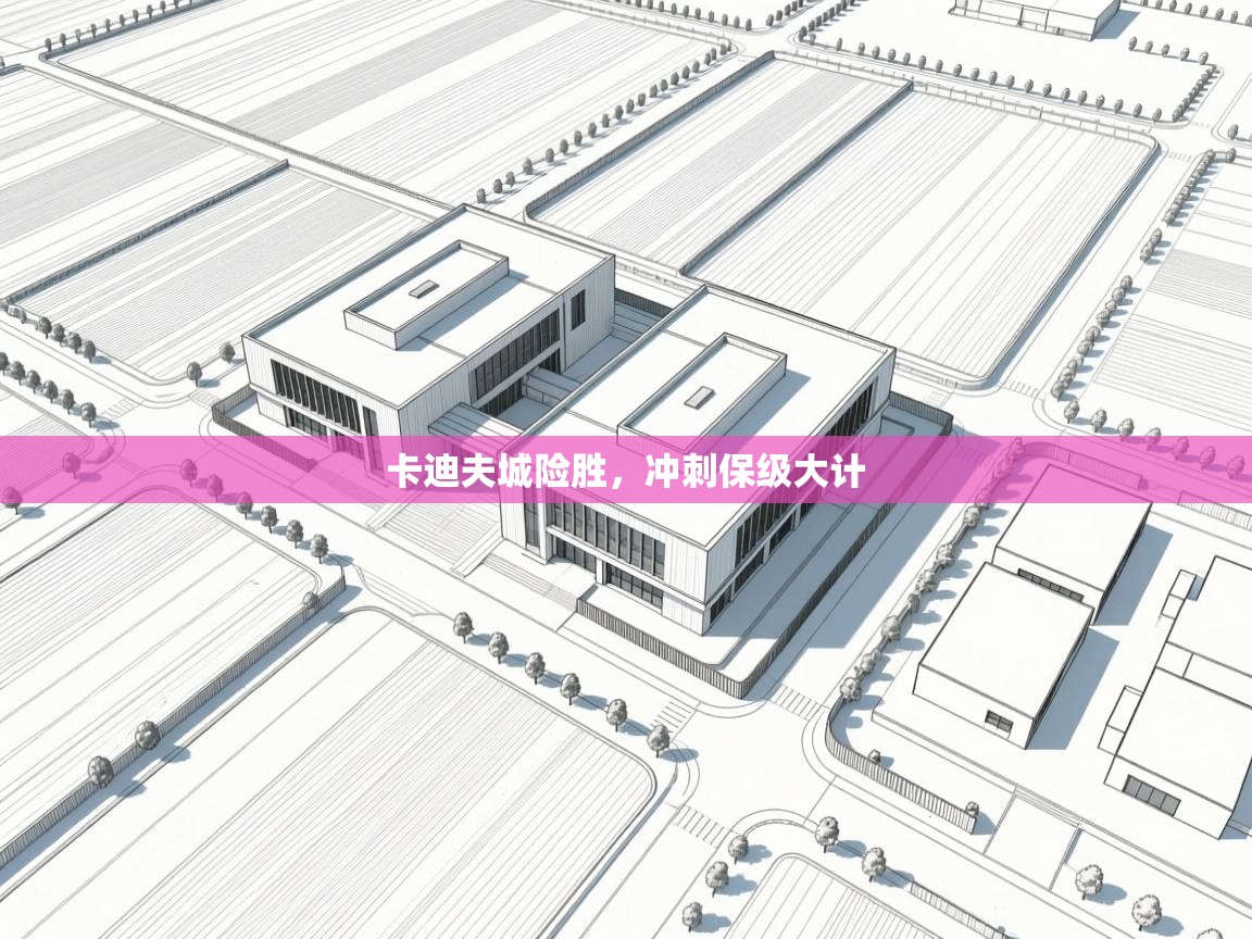 卡迪夫城险胜,冲刺保级大计 第1张