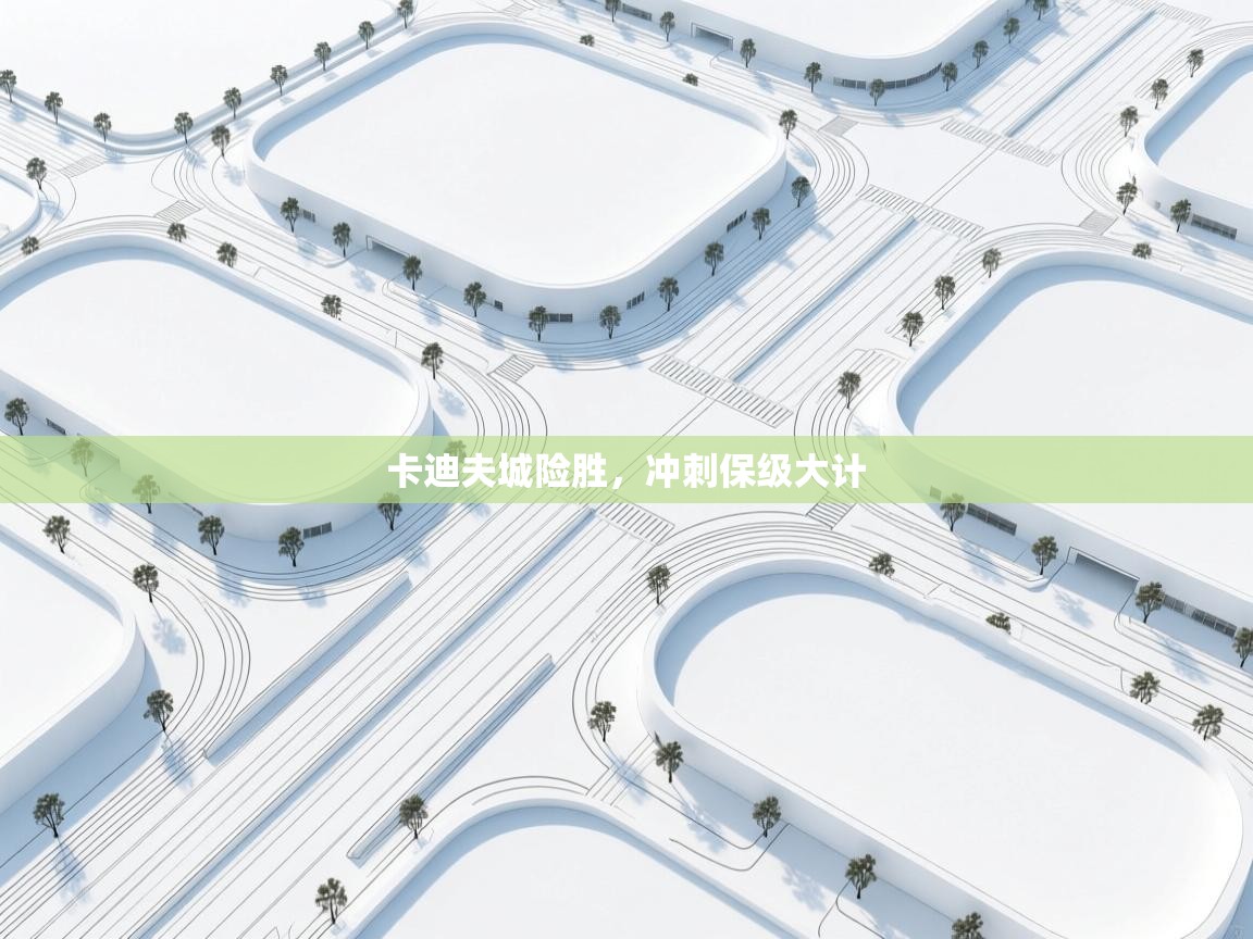 卡迪夫城险胜,冲刺保级大计 第2张