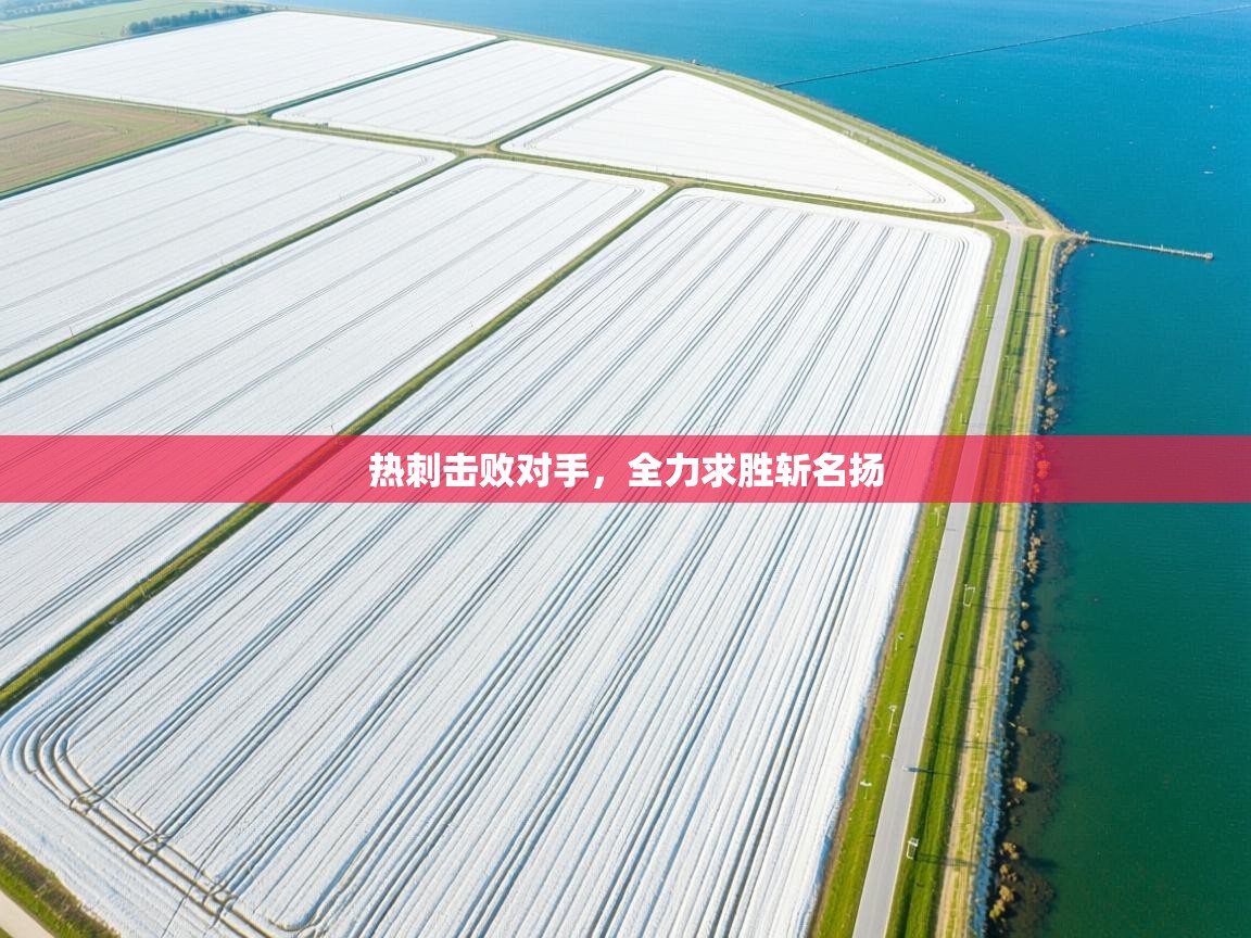 热刺击败对手,全力求胜斩名扬 第1张