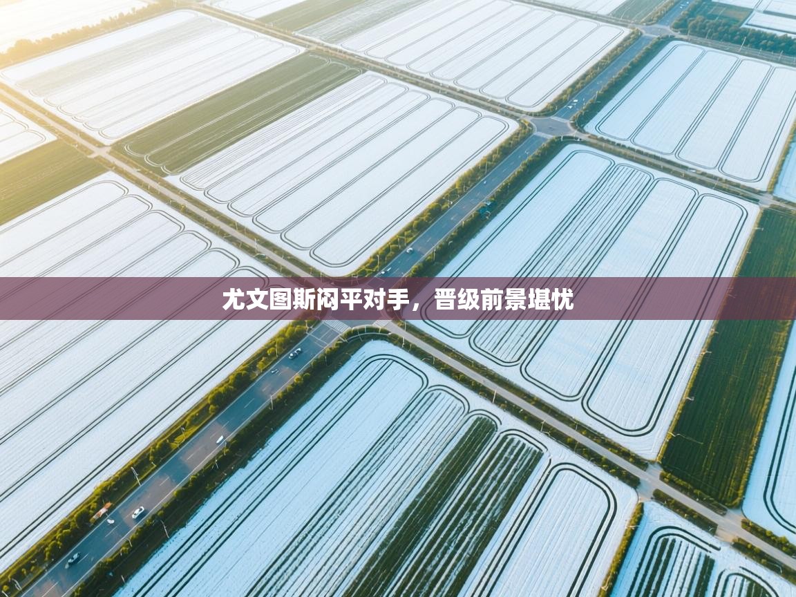 尤文图斯闷平对手,晋级前景堪忧 第1张