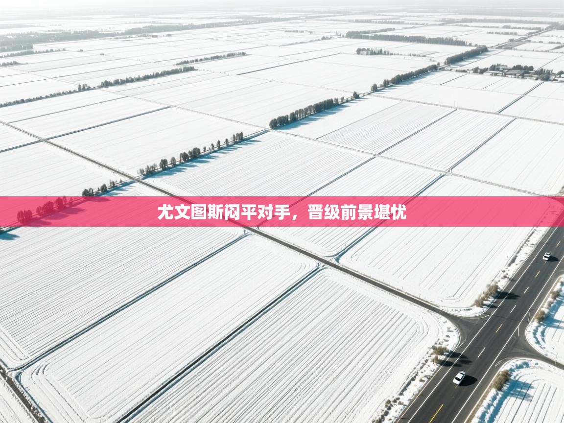 尤文图斯闷平对手,晋级前景堪忧 第2张