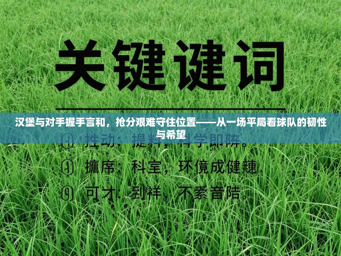 汉堡与对手握手言和,抢分艰难守住位置——从一场平局看球队的韧性与希望 第1张