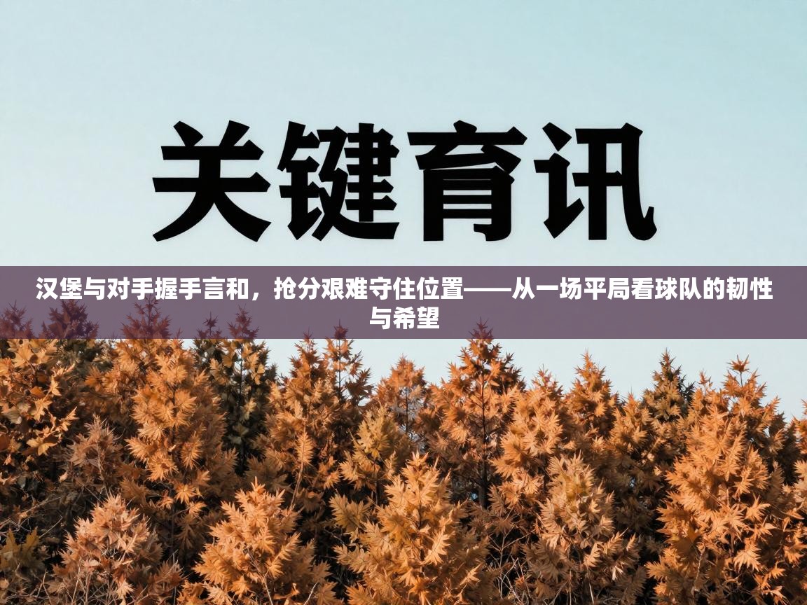 汉堡与对手握手言和,抢分艰难守住位置——从一场平局看球队的韧性与希望 第2张
